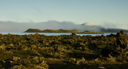 IJsland meer Myvatn